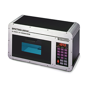 ���⽻����